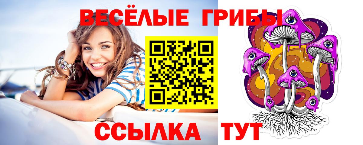 Обь  Псилоцибиновые грибы мухоморы  Вход с VPN 